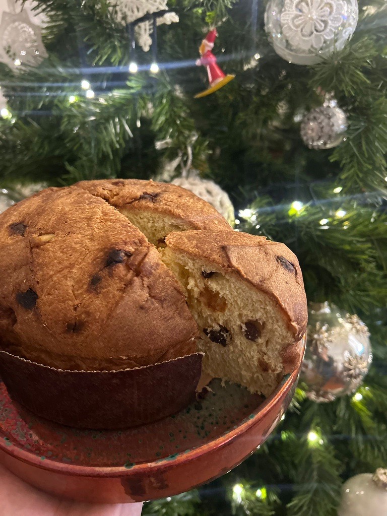 Svuotatasche-panettone10