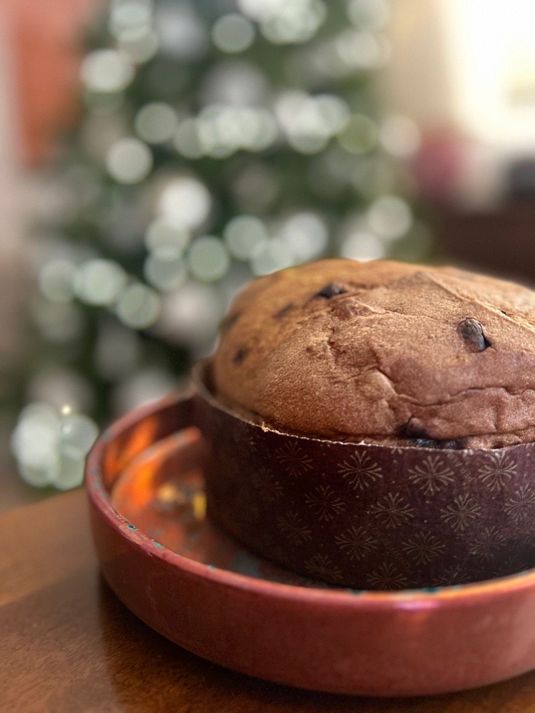 Svuotatasche-panettone9